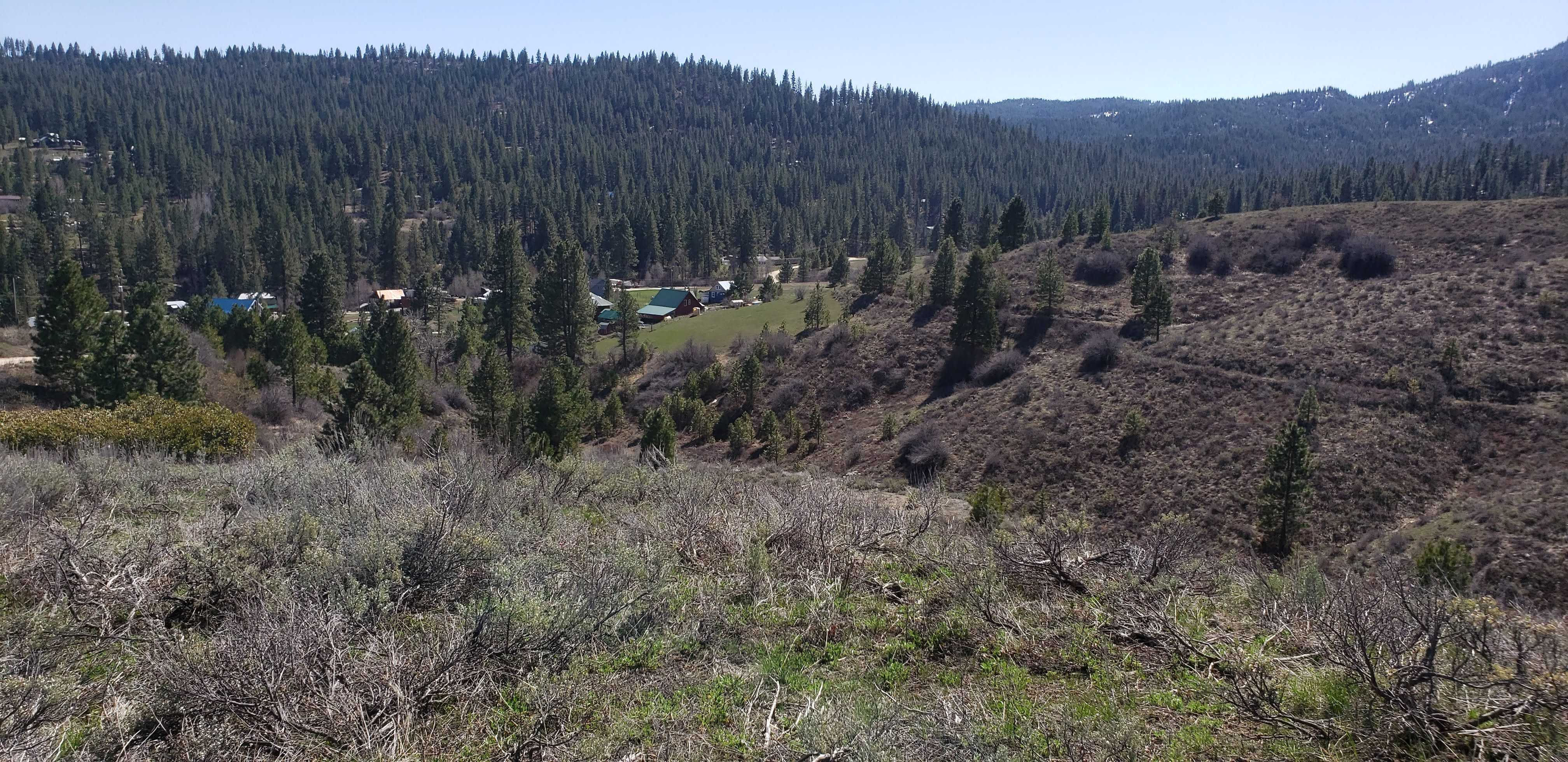 Lot 21 Clear Creek Estates #12, Idaho City, ID, 83716 - Thumbnail 4