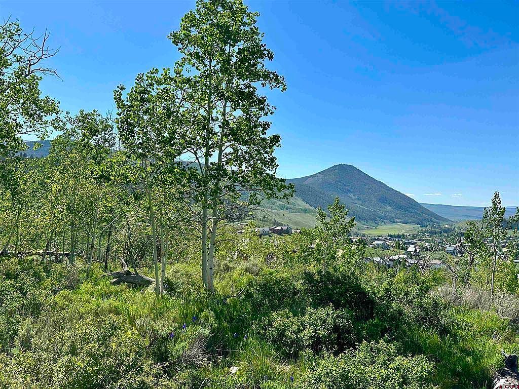 4482 Bryant Ave, Crested Butte, CO, 81224 - Thumbnail 4