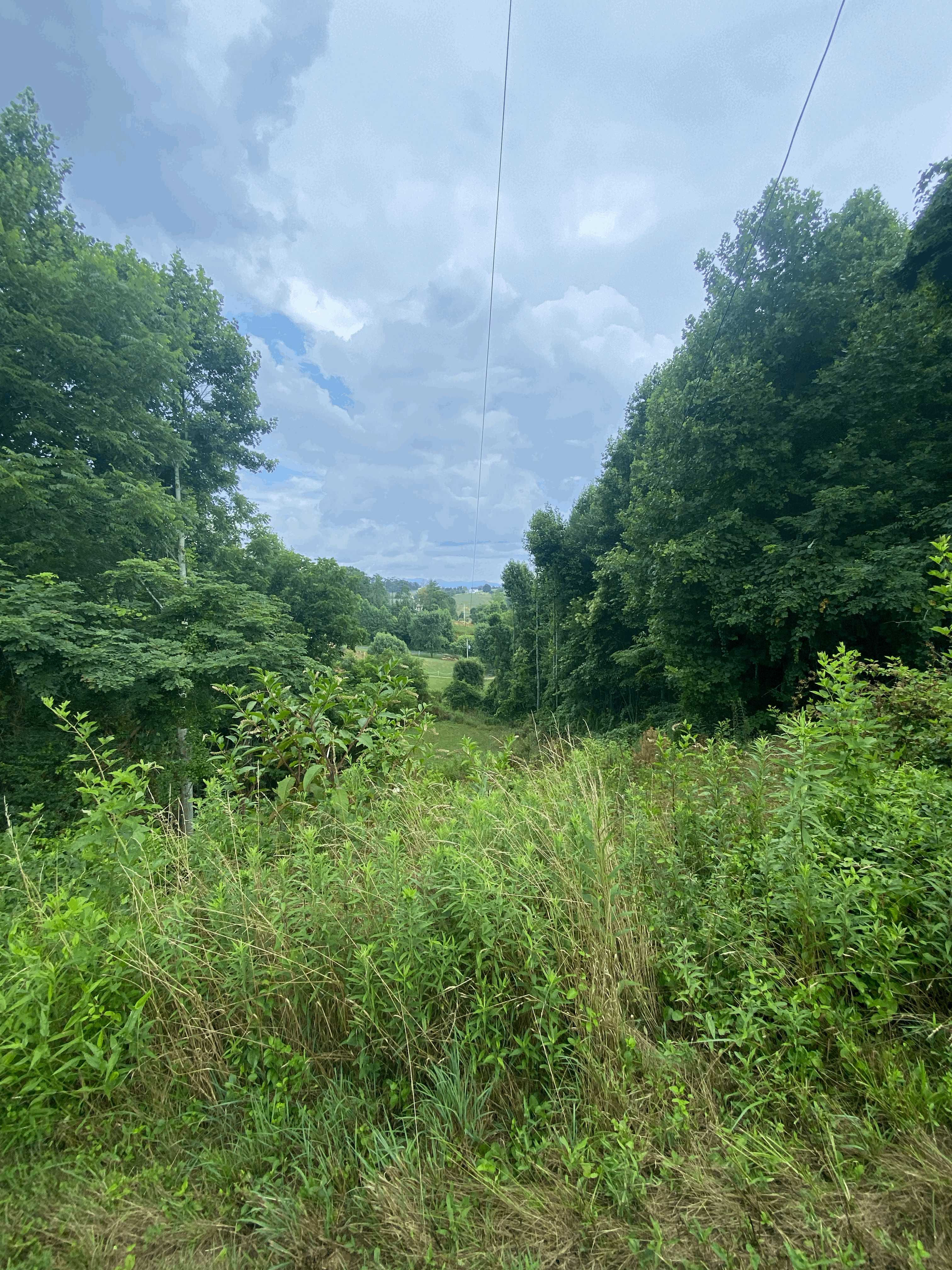 99999 Watsell Drive, Leicester, NC, USA, Leicester, NC, 28748 - Thumbnail 4