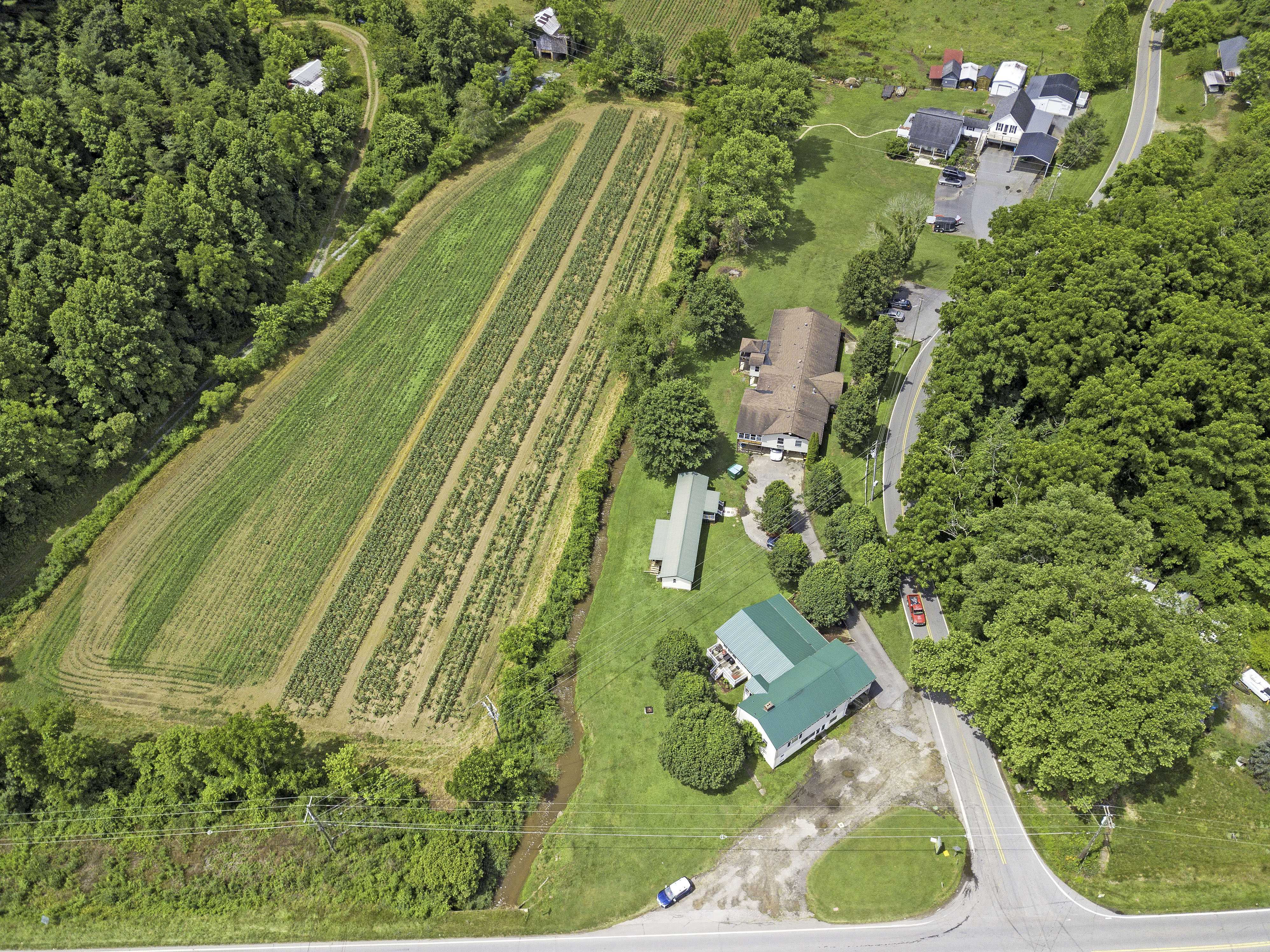 3150 New Leicester Highway, Leicester, NC, USA, 28748 - Thumbnail 4