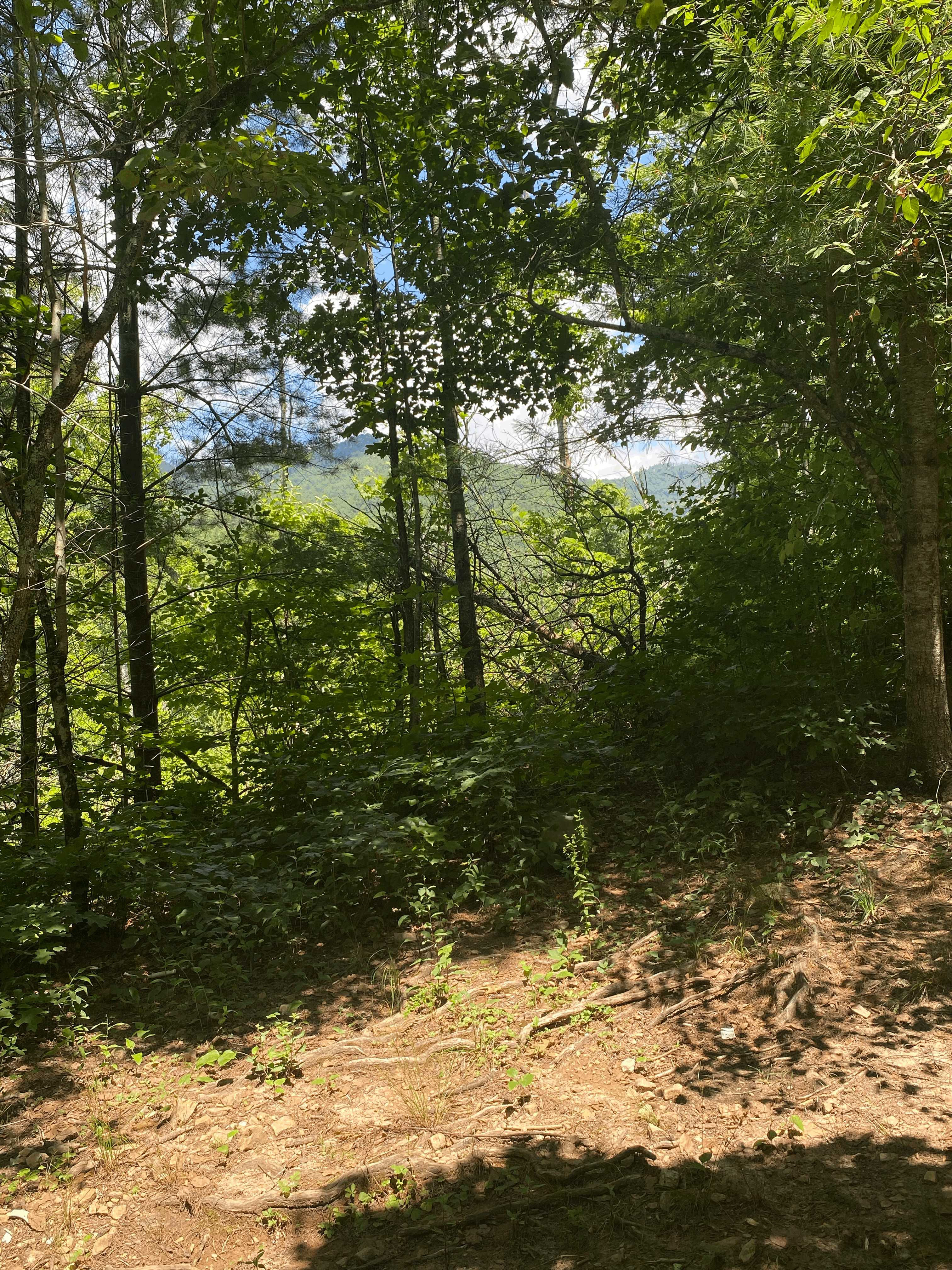 99999 Pounding Mill Road, Hayesville, NC, 28904 - Thumbnail 4