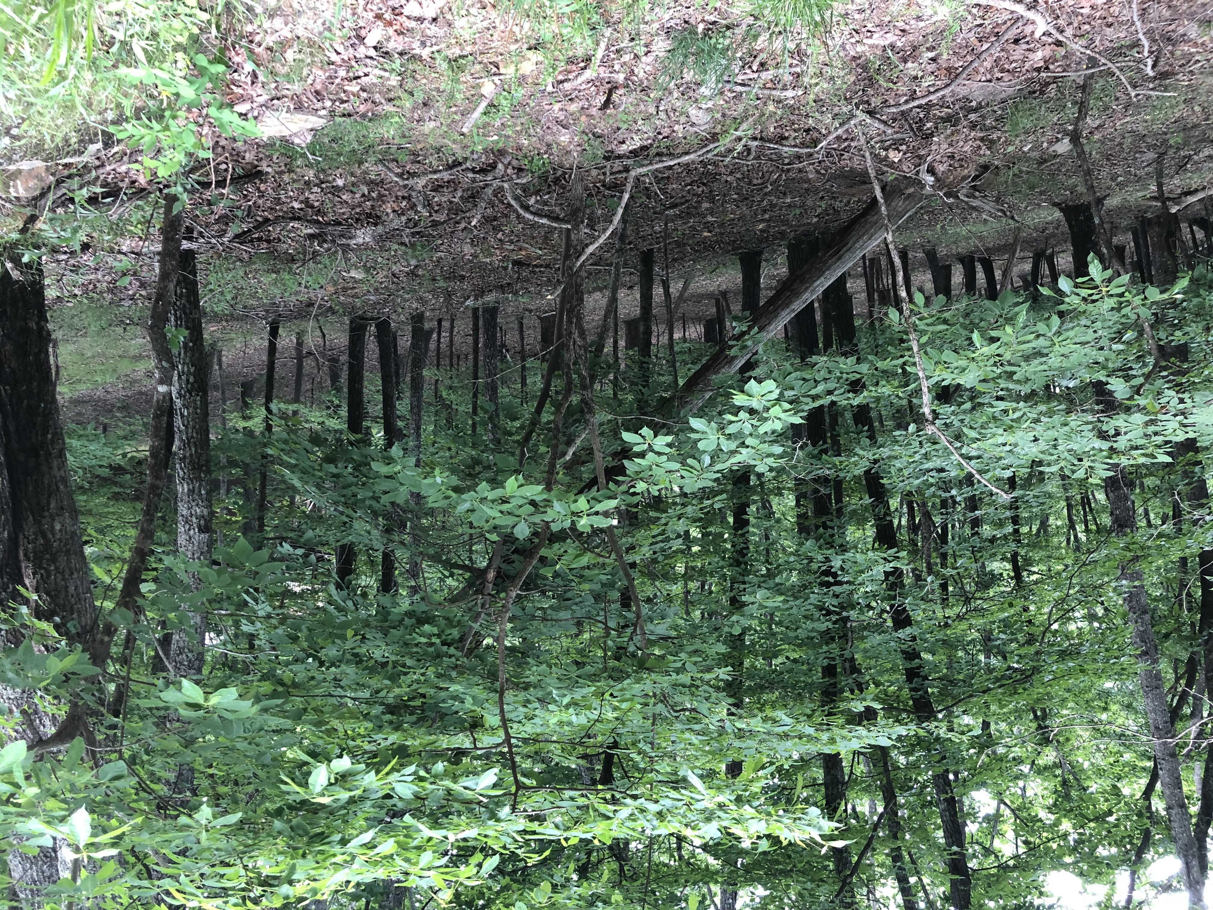 171 Cutthroat Ridge Road, Jasper, GA, USA, 30143  | Land/Lot