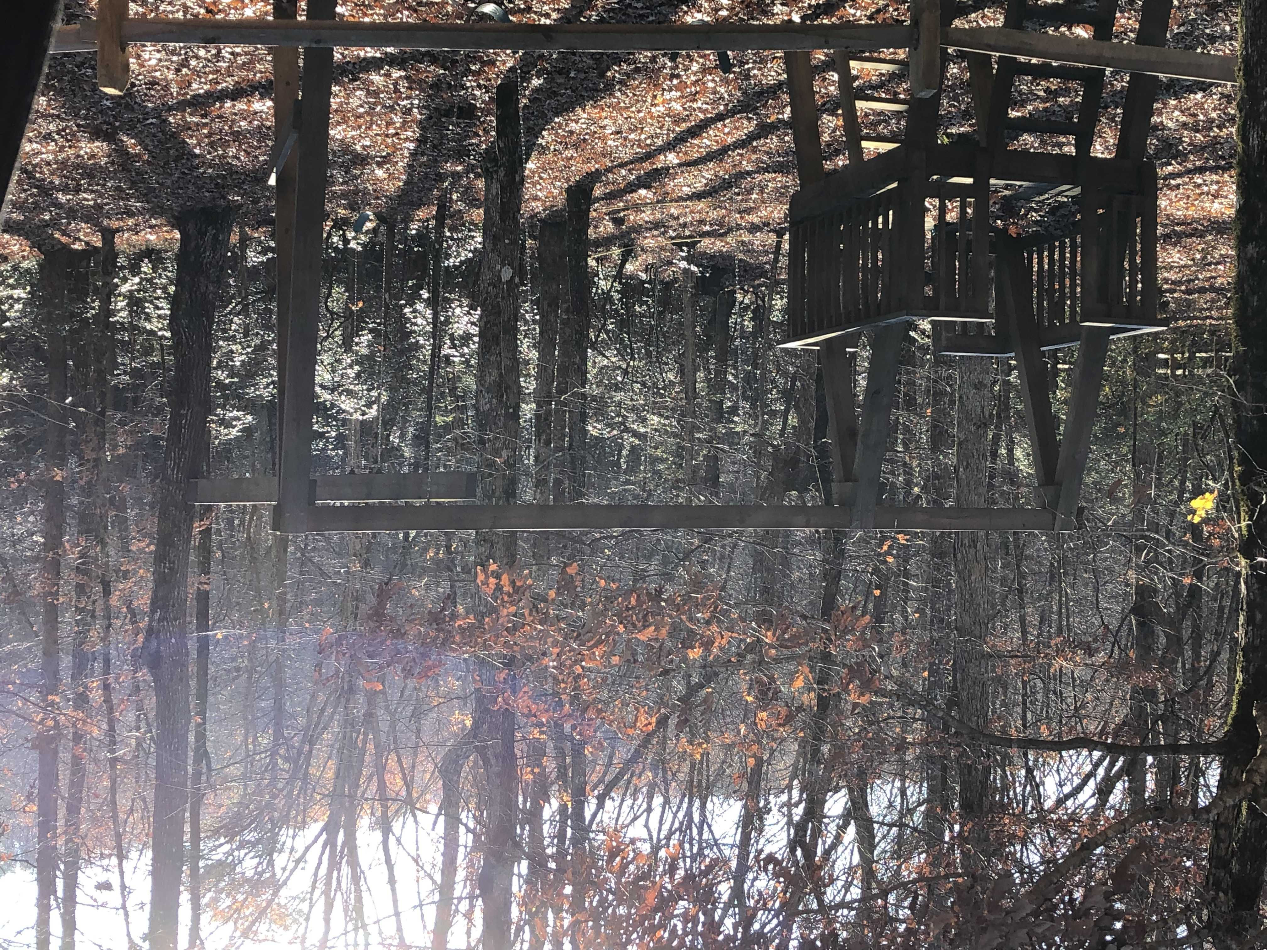 Sharp Mountain Parkway, Jasper, GA, USA, 30143 - Thumbnail 4