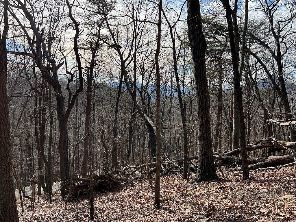 4528 Sassafras Mountain Trl Jasper, GA 30143 - Thumbnail 4