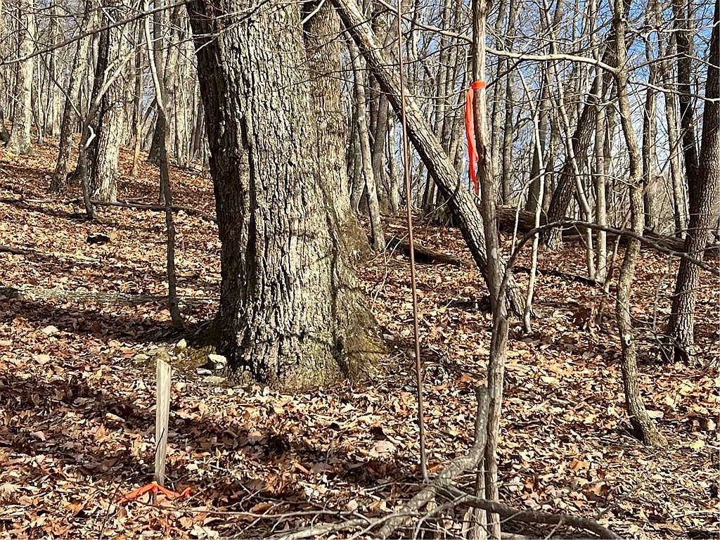 4528 Sassafras Mountain Trl #4528 Jasper, GA 30143 - Thumbnail 4