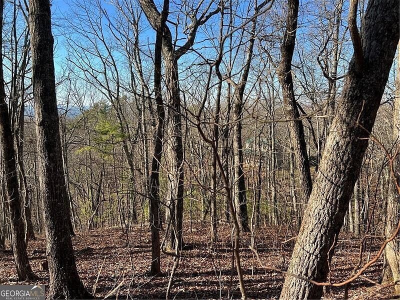 197 Stirratt Rd Ranger, GA 30734 - Thumbnail 4