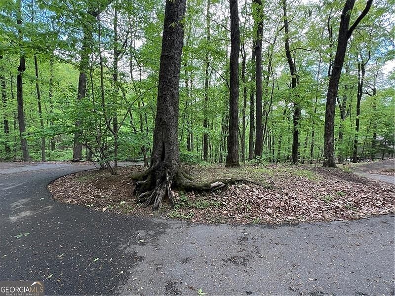 387 Windflower Dr Jasper, GA 30143 - Thumbnail 4