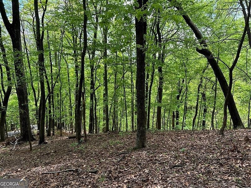 0 Valley View Dr Jasper, GA 30143 - Thumbnail 4