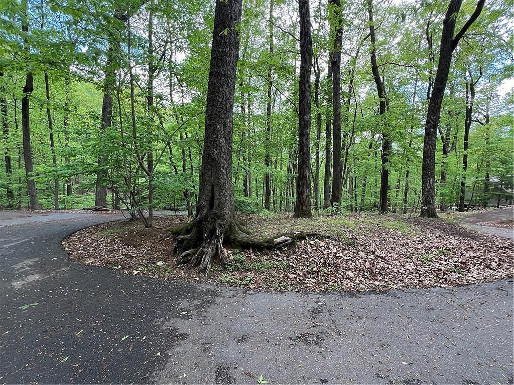 387 Windflower Dr #6232 Jasper, GA 30143 - Thumbnail 4