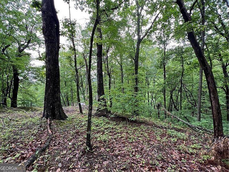 245 Sassafras Mountain Trl Jasper, GA 30143 - Thumbnail 4