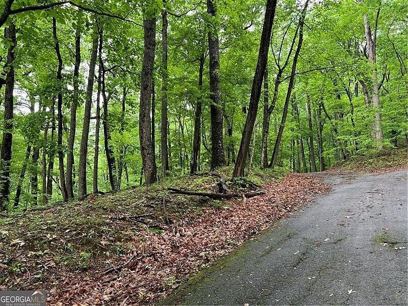 0 Sassafras Ct Jasper, GA 30143 - Thumbnail 4