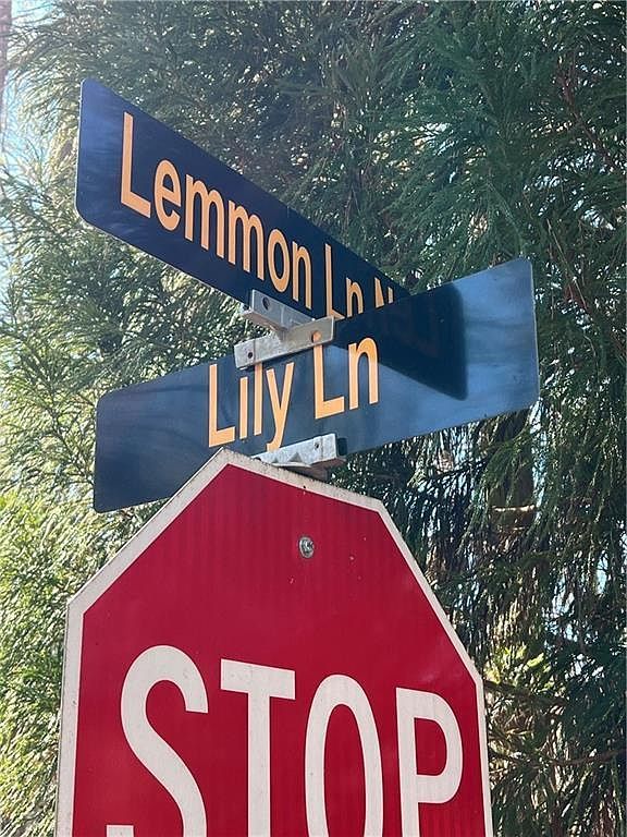 18 Lily Ln #321 Ellijay, GA 30540 - Thumbnail 4