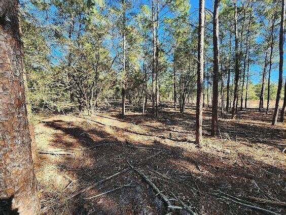 Kelly Pl Defuniak Springs, FL 32433 - Thumbnail 4