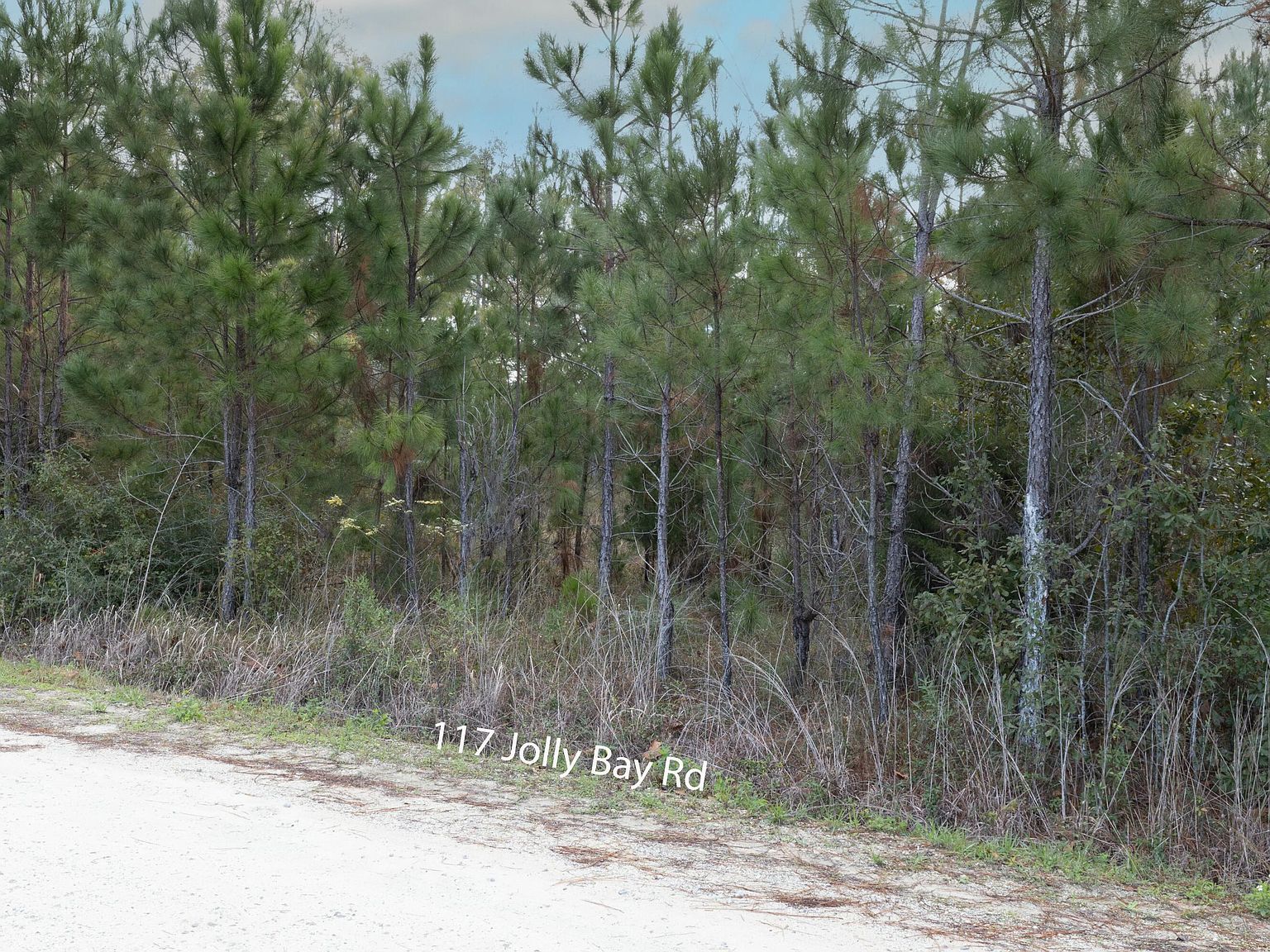117 Jolly Bay Rd Freeport, FL 32439 - Thumbnail 4