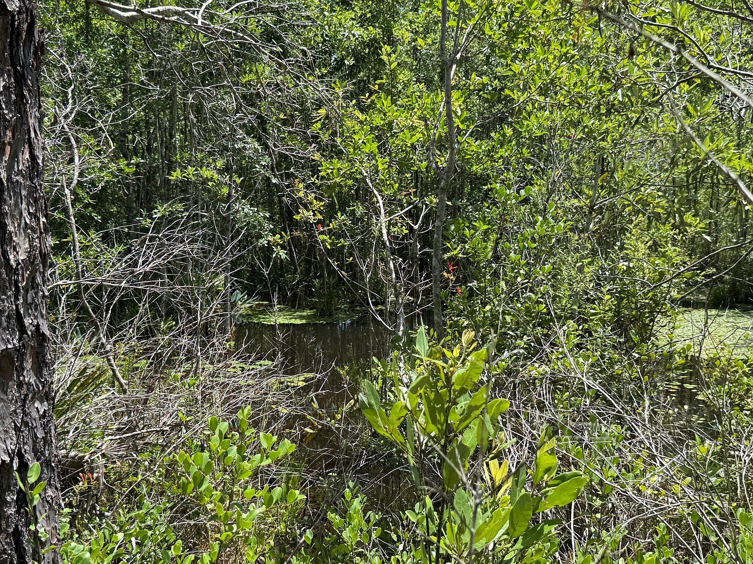 LOT 39 Clearwater Dr Defuniak Springs, FL 32433 - Thumbnail 4