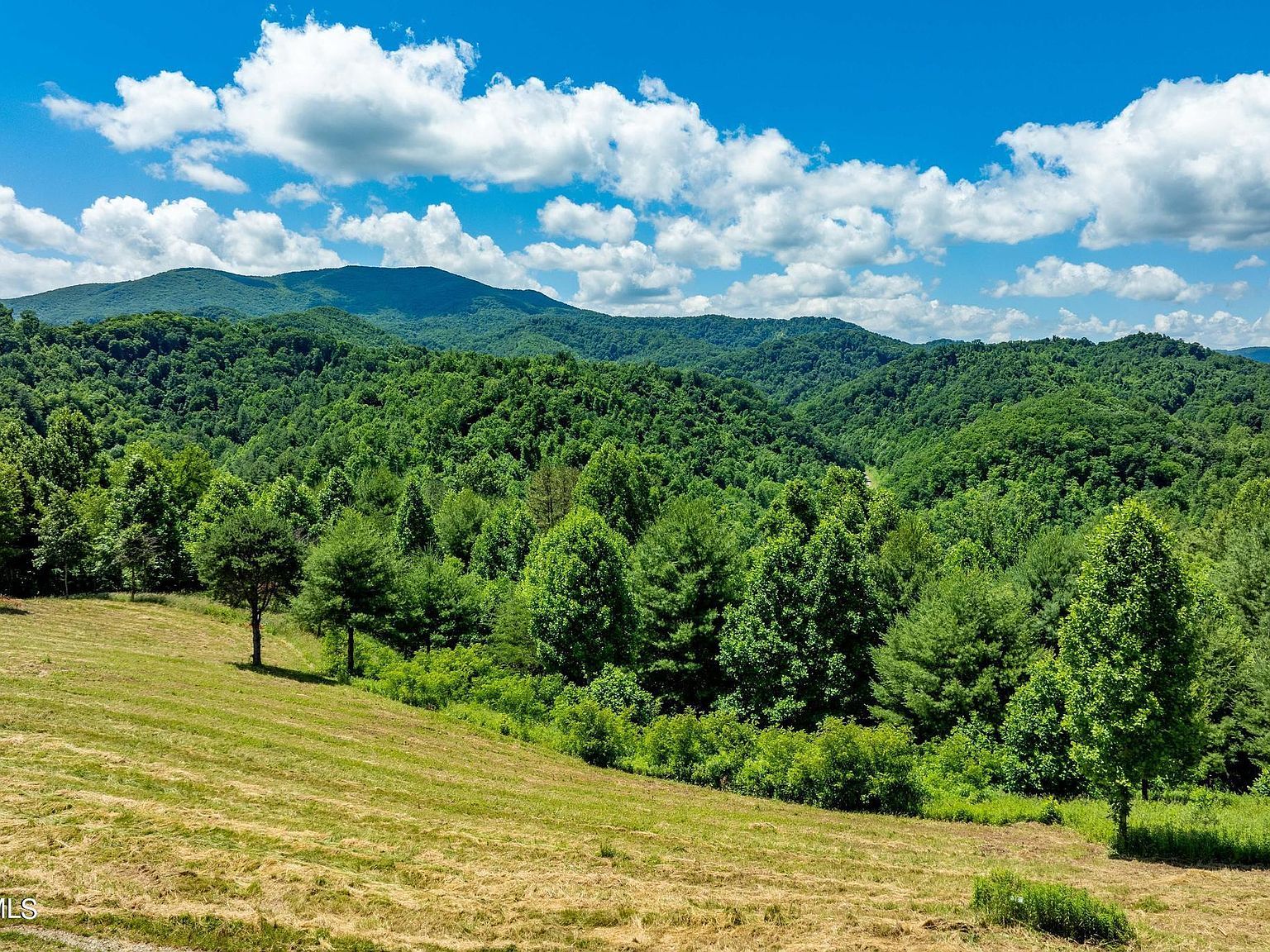 LOT 45 Eagle Ridge Pkwy Butler, TN 37640 - Thumbnail 4