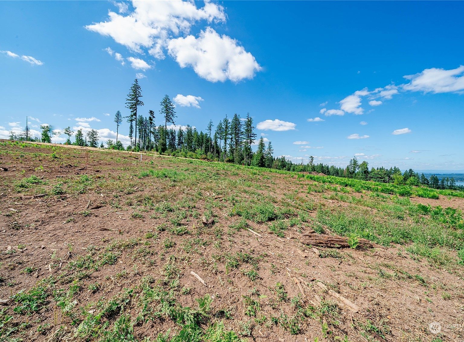 0 S Silver Lake Rd #6 Castle Rock, WA 98611 - Thumbnail 4