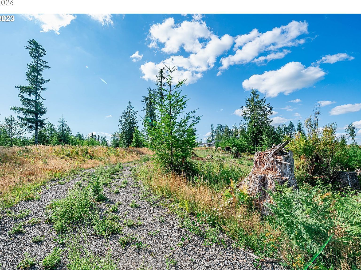 0 Silver Lake #8 Castle Rock, WA 98611 - Thumbnail 4