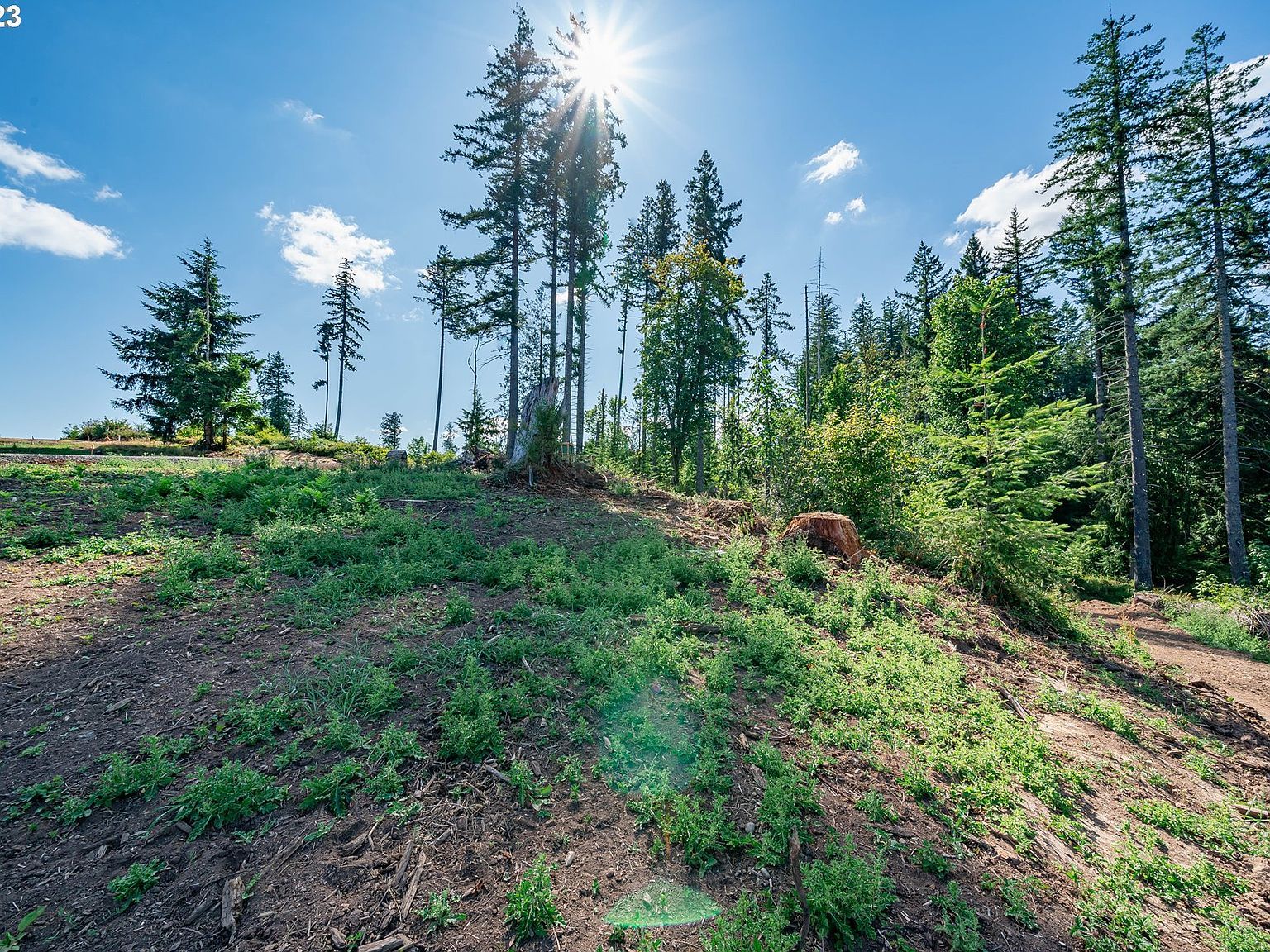 0 S Silver Lake Rd #1 Castle Rock, WA 98611 - Thumbnail 4