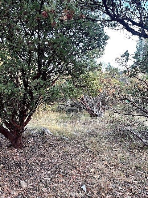 6172 Shad Way #47 Pollock Pines, CA 95726 - Thumbnail 4