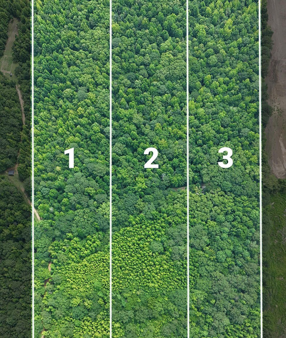 1 Martin Rd NE Golden, MS 38847 - Thumbnail 4