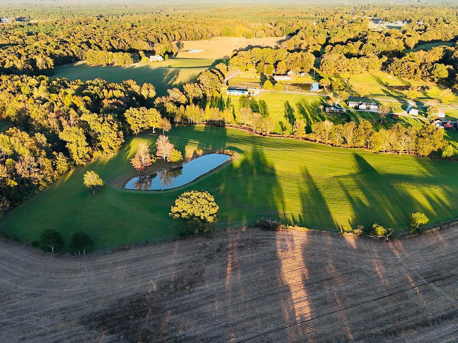 County Road 516 Rienzi, MS 38865 - Thumbnail 4