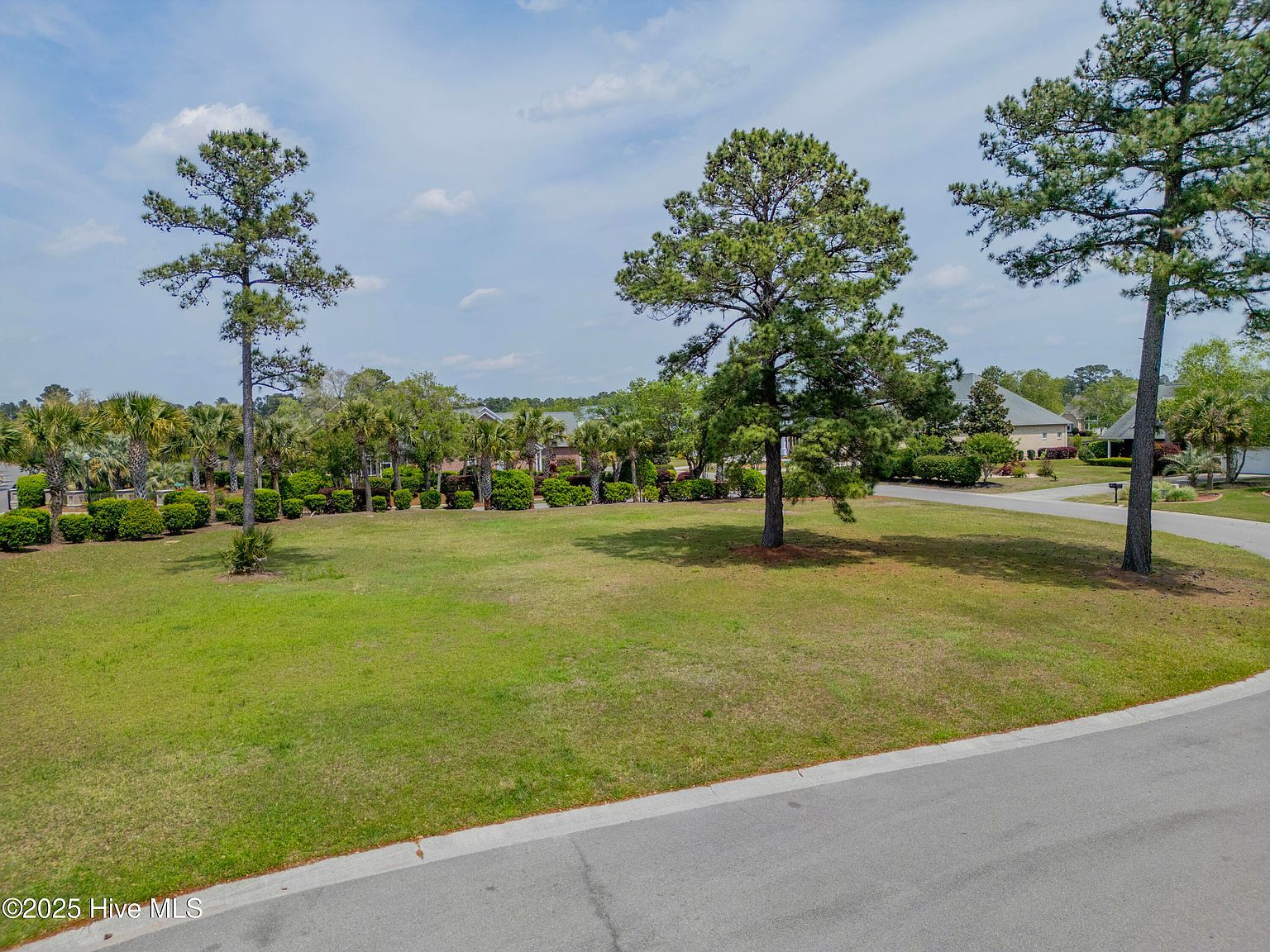 1007 Natural Springs Way Leland, NC 28451 - Thumbnail 4