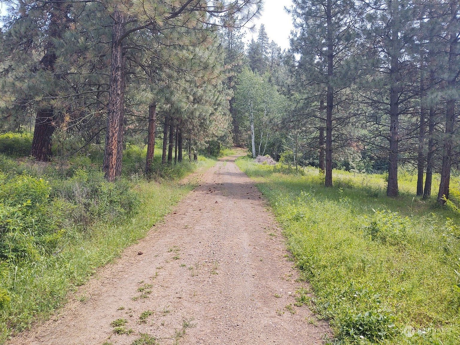 3569 Cedonia Addy Rd Hunters, WA 99137 - Thumbnail 4