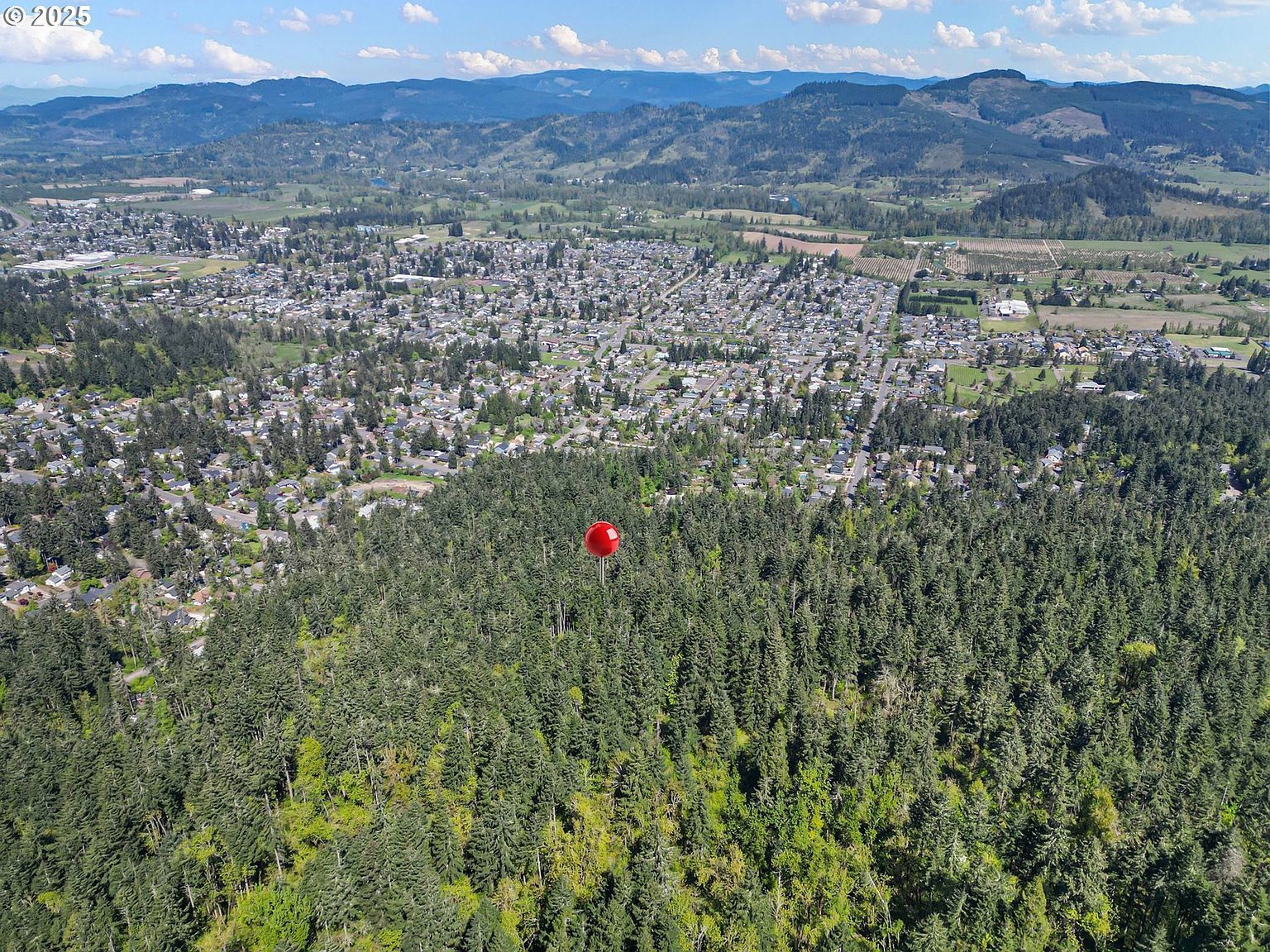 71st St Springfield, OR 97478 - Thumbnail 4