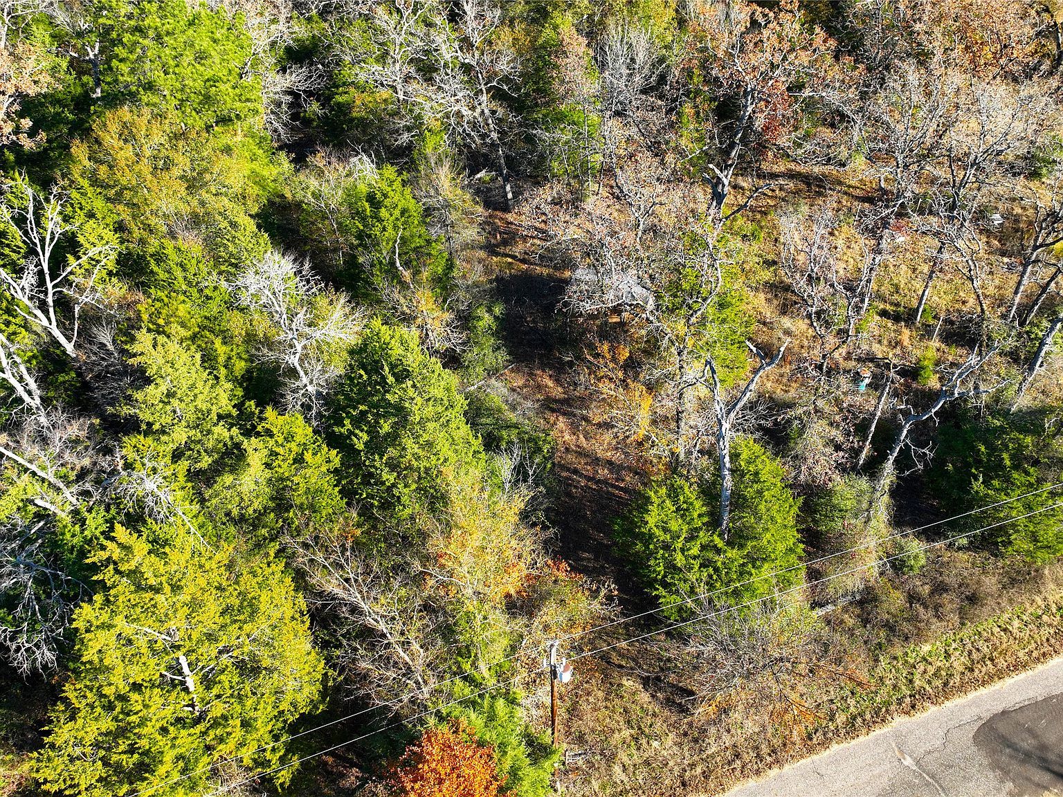 102 Fcr #538 Fairfield, TX 75840 - Thumbnail 4