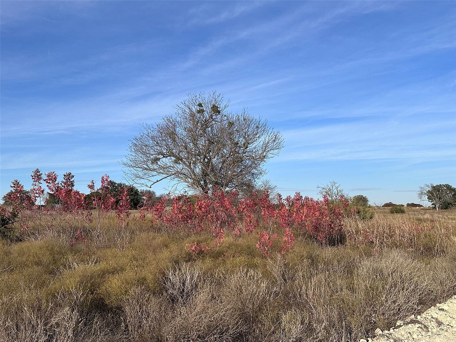 245 Grand Canyon Dr Oglesby, TX 76561 - Thumbnail 4