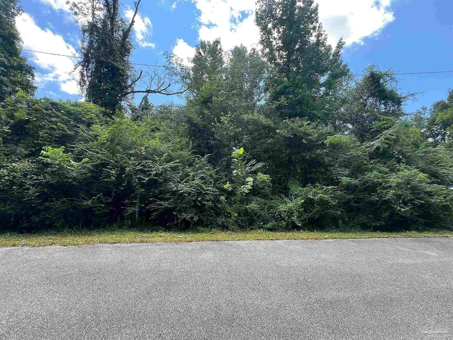 1100 Blk McKinnonville St Molino, FL 32577 - Thumbnail 4