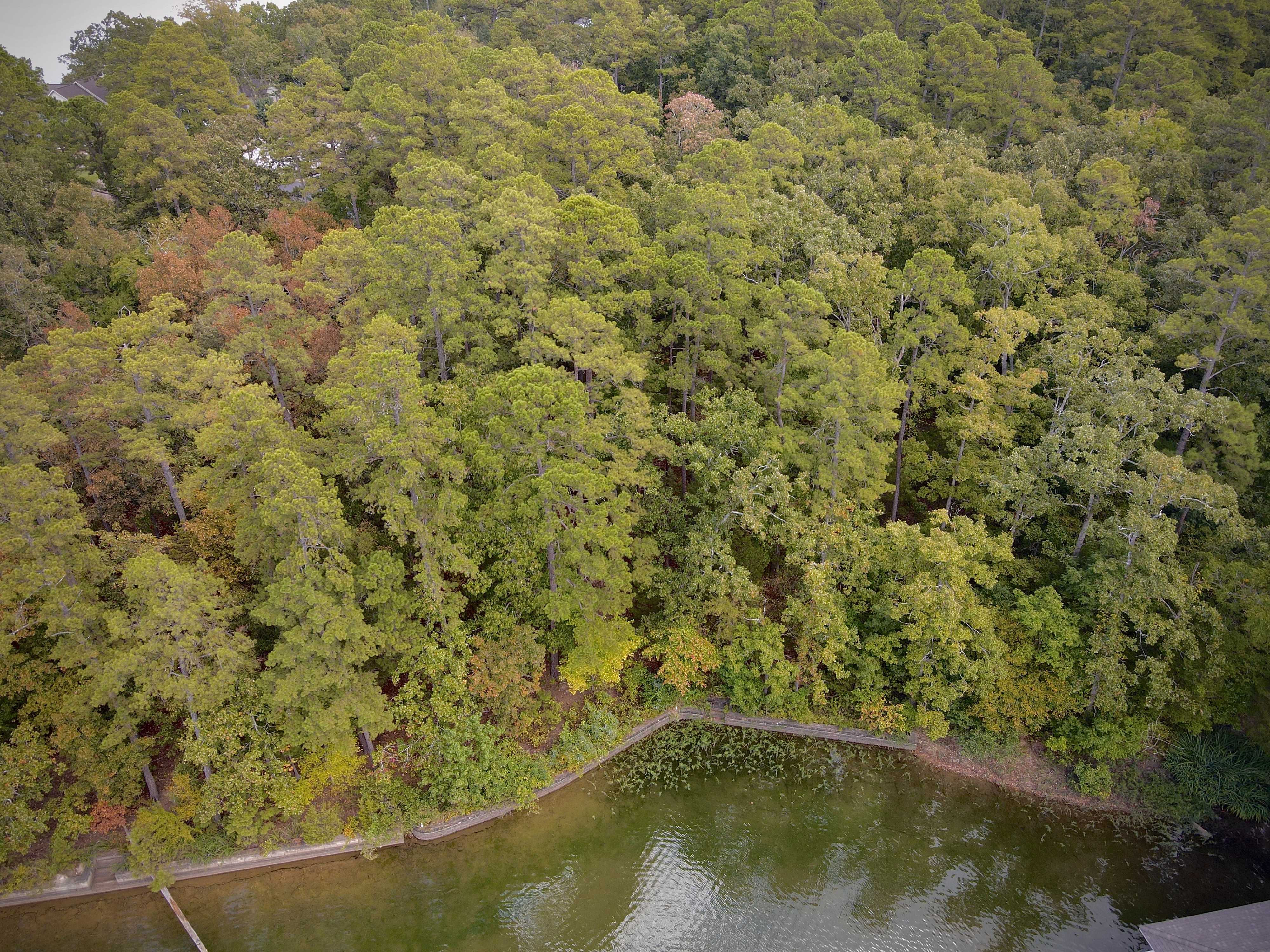 Hartura Way, Hot Springs Village, AR, USA  | Land/Lot