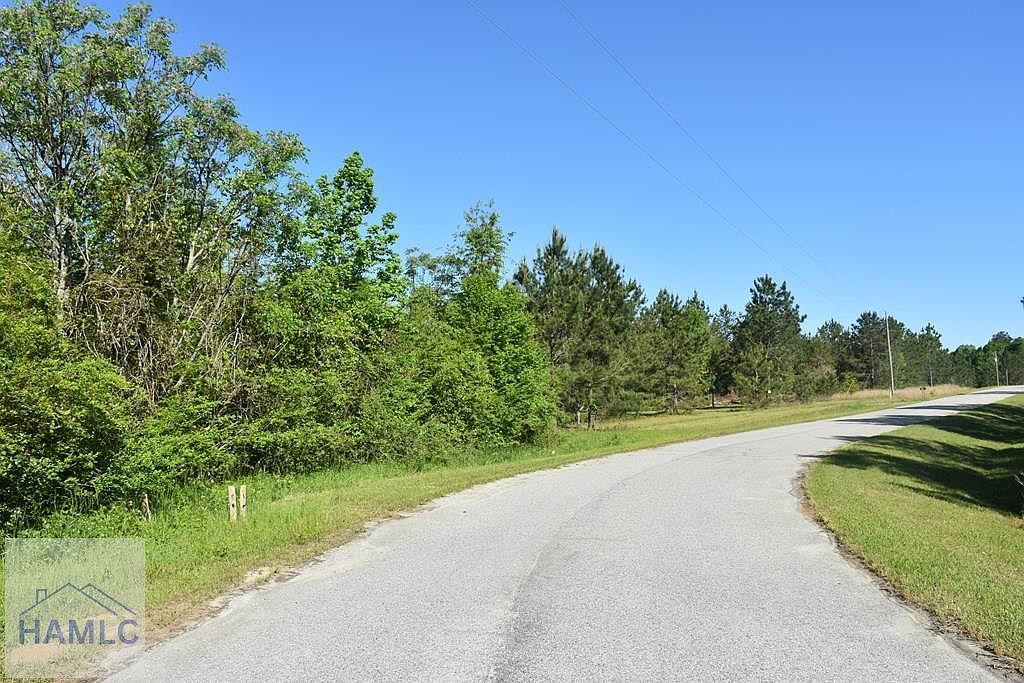 27 Chestnut Ln Garfield, GA 30425  | Land/Lot