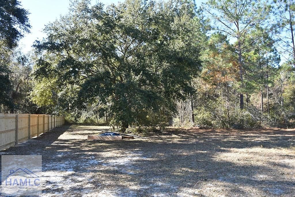 0 Barrett Cemetery Rd NE Ludowici, GA 31316 - Thumbnail 4