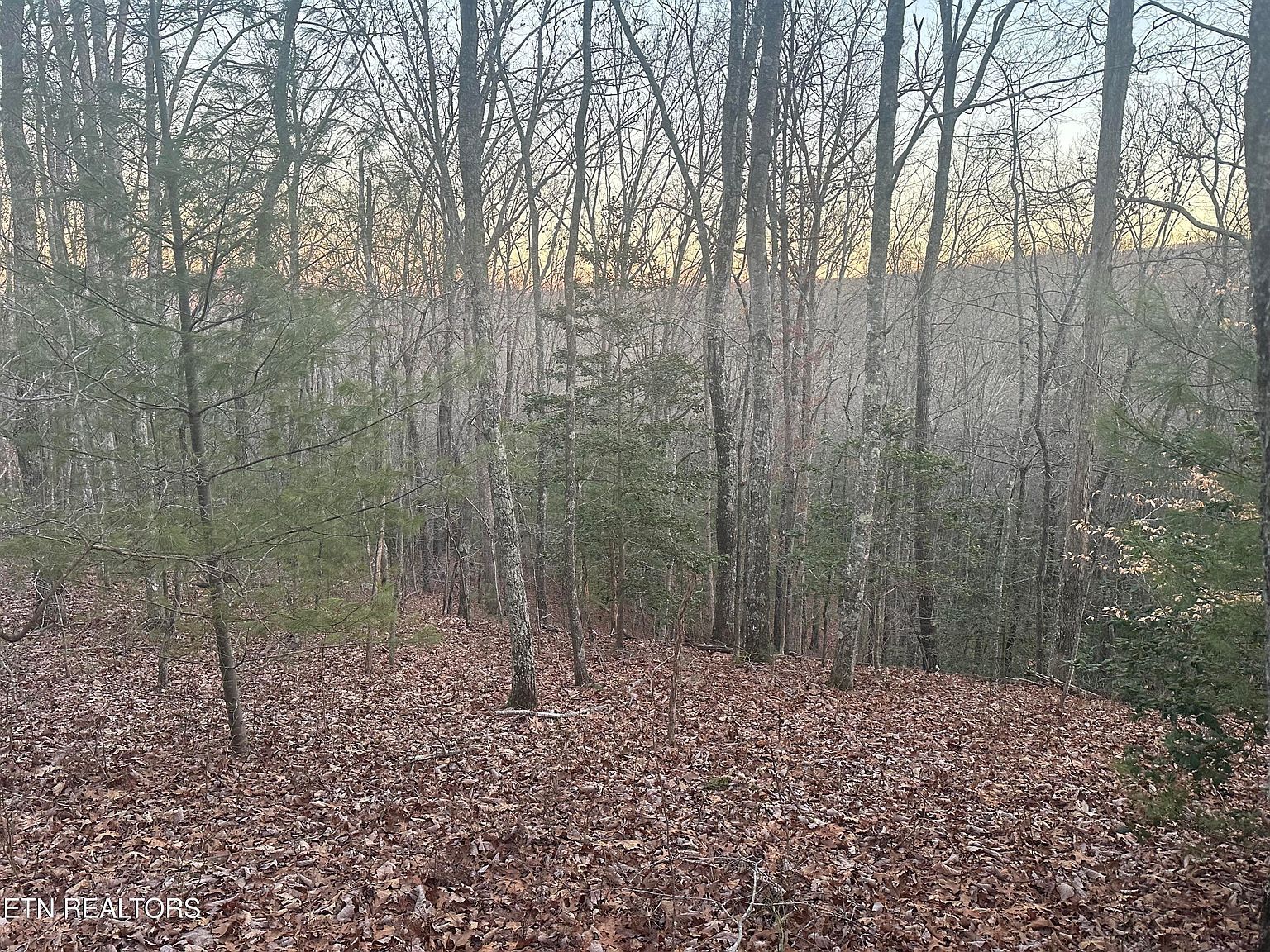 LOT 37 Green Ridge Trl Harriman, TN 37748 - Thumbnail 4