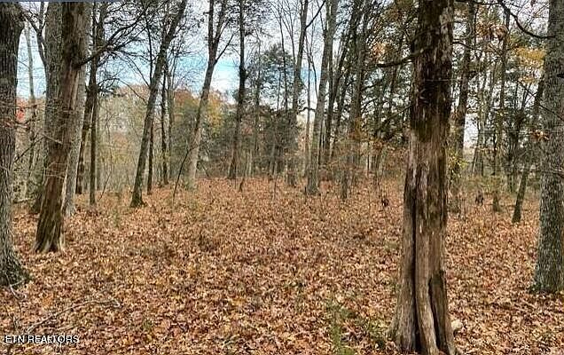 1530 New Hope Rd Rockwood, TN 37854 - Thumbnail 4