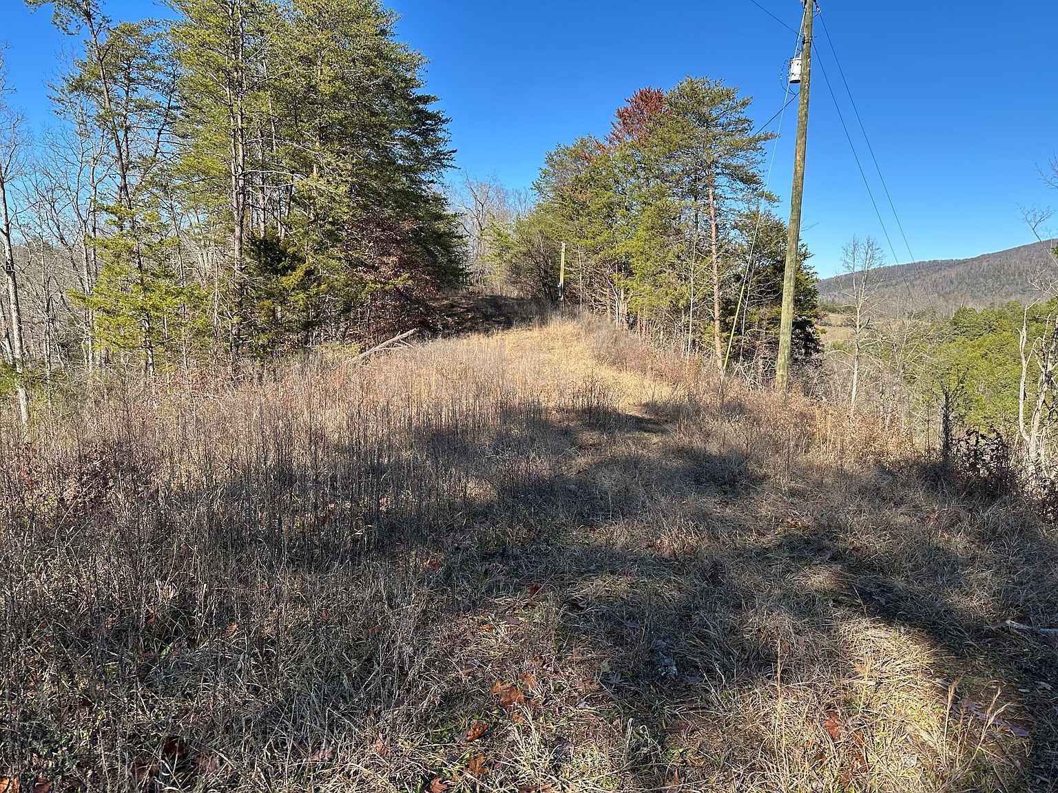 907 Sharp Rd Sevierville, TN 37876 - Thumbnail 4