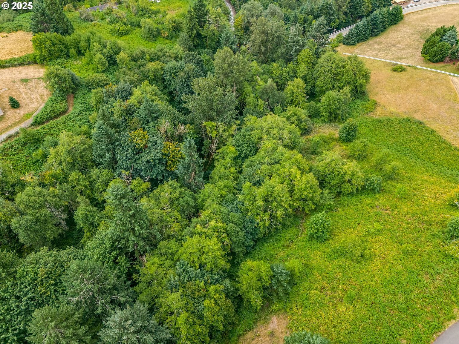 4950 Green Mountain Rd Kalama, WA 98625 - Thumbnail 4