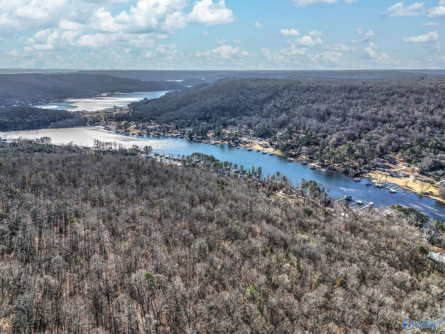 5 White Elephant Rd Grant, AL 35747 - Thumbnail 4