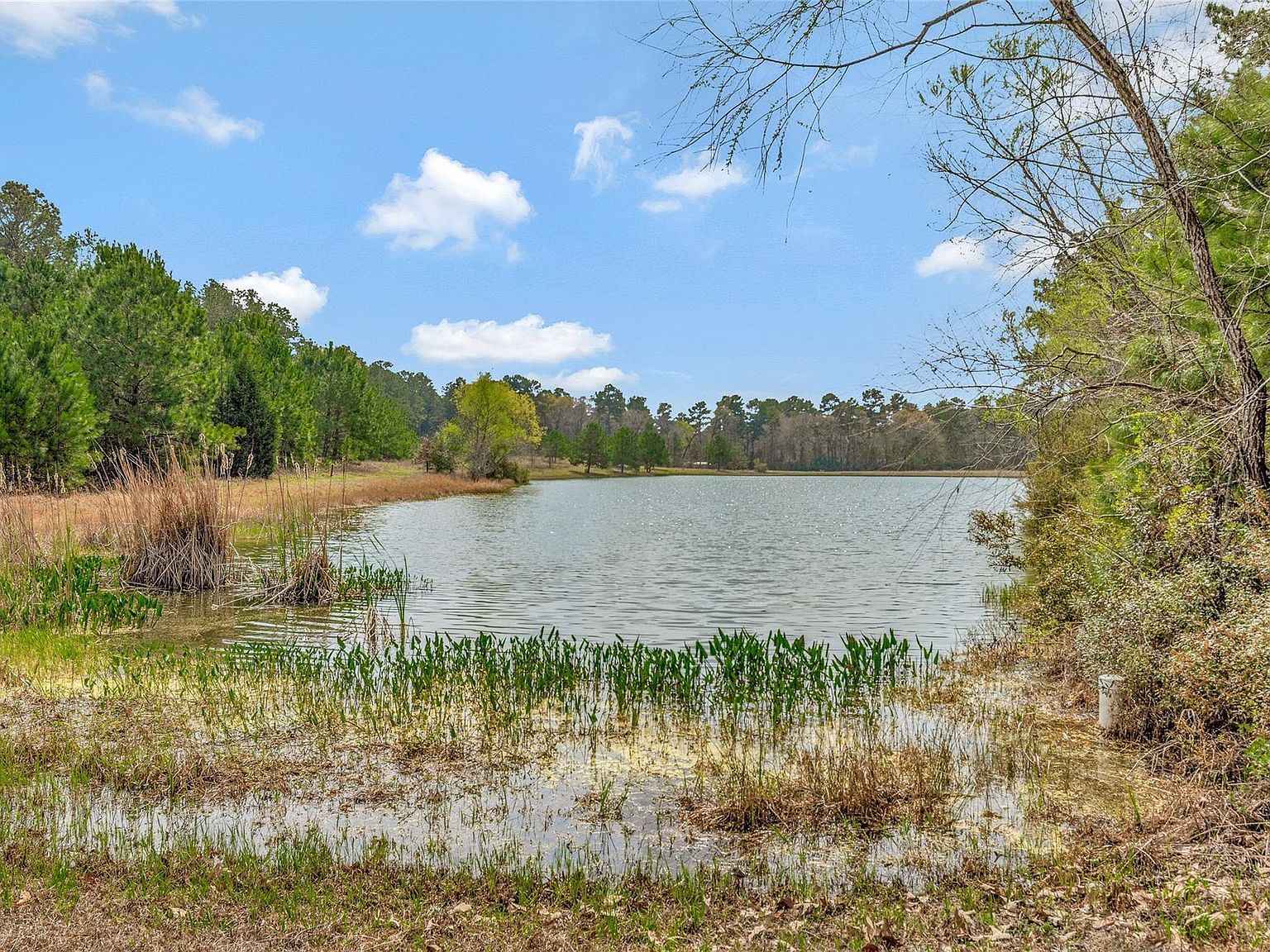 26500 Saddle Horn Dr Waller, TX 77484 - Thumbnail 4