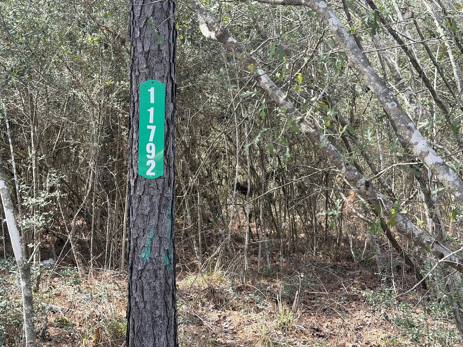 11792 Inspiration Dr Willis, TX 77378 - Thumbnail 4