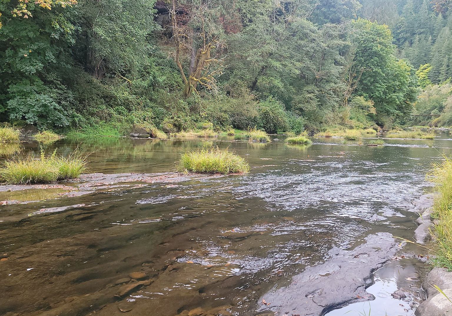 24608 Lower Smith River Rd Reedsport, OR 97467 - Thumbnail 4