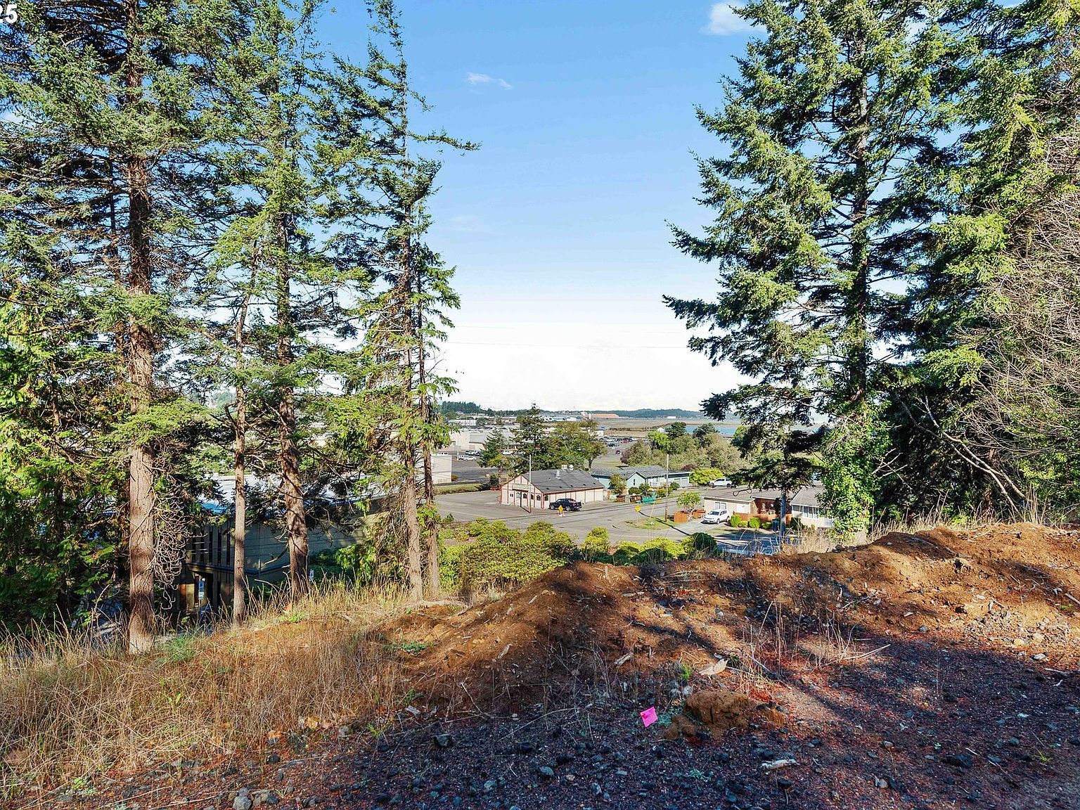 2253 Pony Creek Rd North Bend, OR 97459 - Thumbnail 4