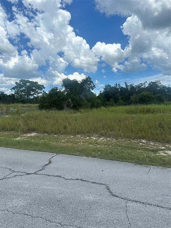 1348 Homosassa Ct LOT 1 Kissimmee, FL 34759  | Land/Lot