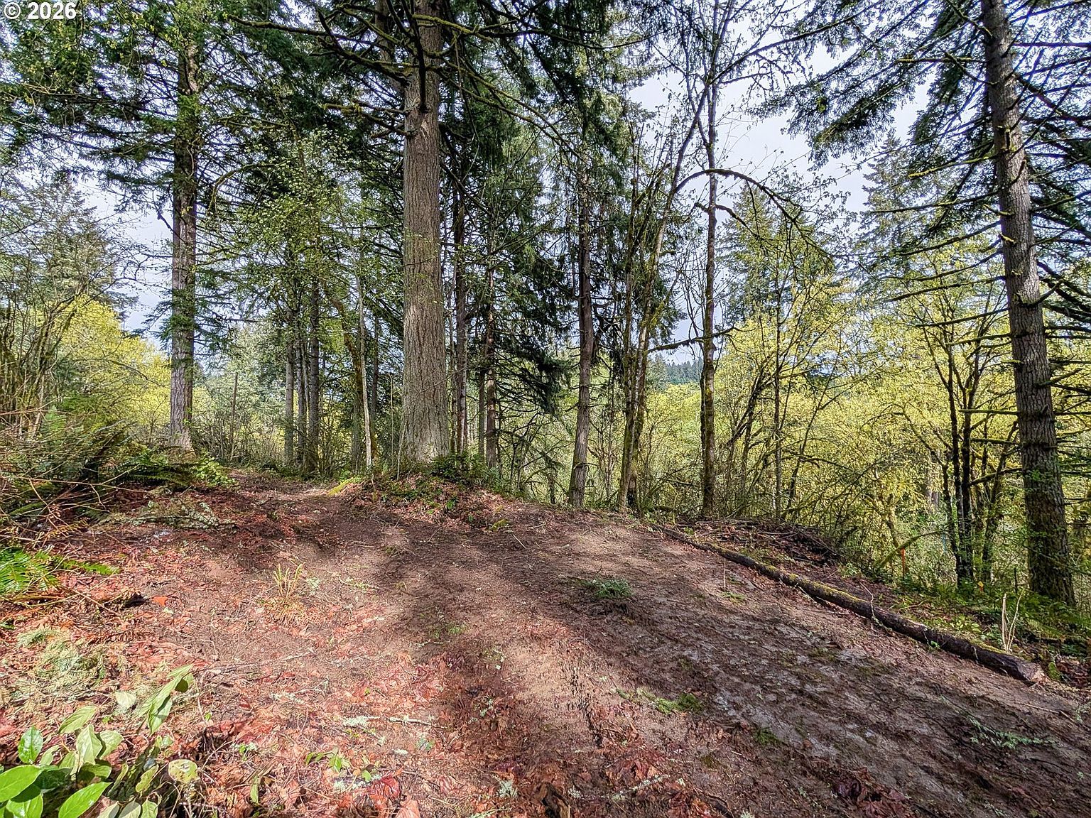 0 NE Finalburg Rd La Center, WA 98629 - Thumbnail 4