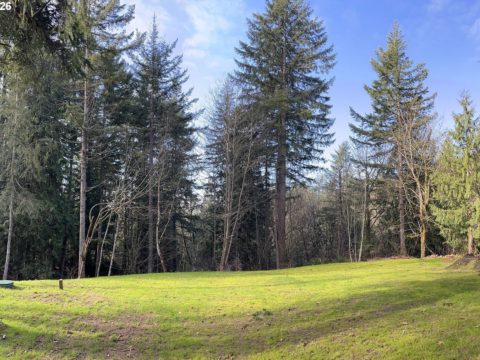 0 NE Schauer Dr Battle Ground, WA 98604 - Thumbnail 4