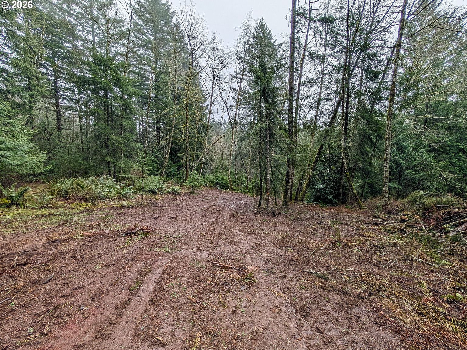 0 NE Berry Rd Battle Ground, WA 98604 - Thumbnail 4