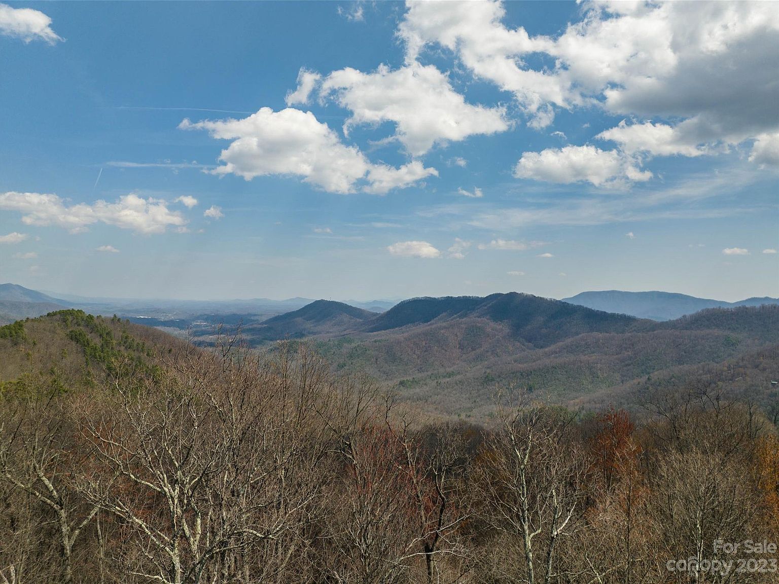 187 Arcadia Falls Way #77 Black Mountain, NC 28711 - Thumbnail 4