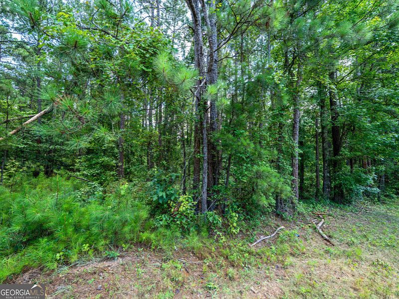 0 State Route 42 Fort Valley, GA 31030 - Thumbnail 4